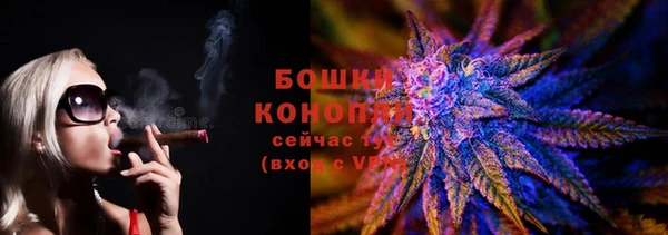 прущие грибы Армянск