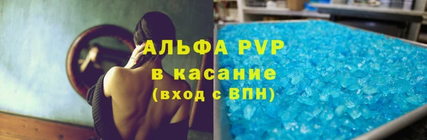 прущие грибы Армянск