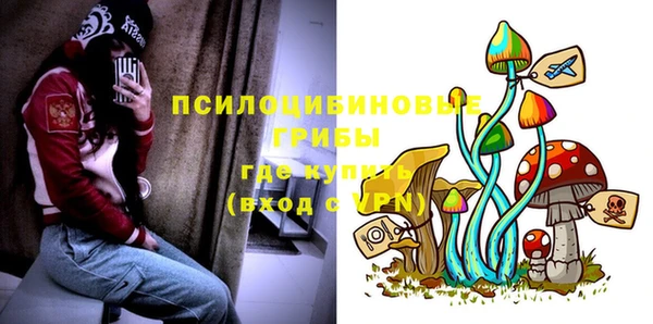 винт Аркадак