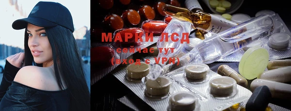 винт Аркадак
