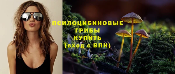 прущие грибы Армянск